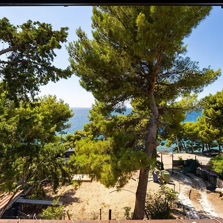 My Dalmatia - Slanica With Private Parking *