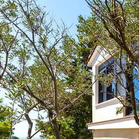 Apartment My Dalmatia - Slanica With Private Parking *