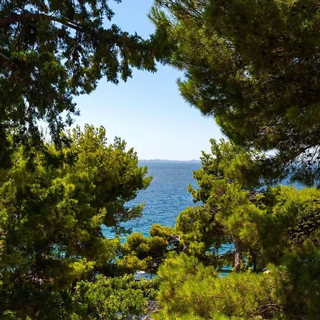 Apartment My Dalmatia - Slanica With Private Parking Murter